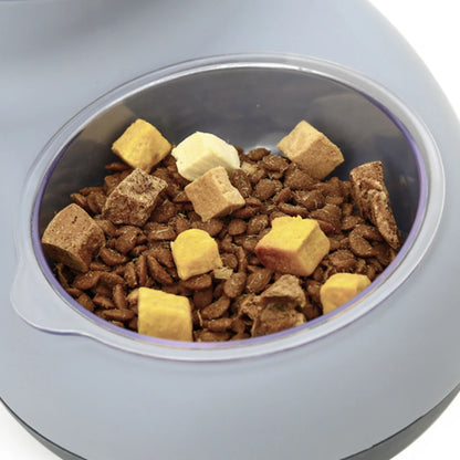 2 In 1 Auto Water Drinker for Cats Dogs Cat Food Bowl